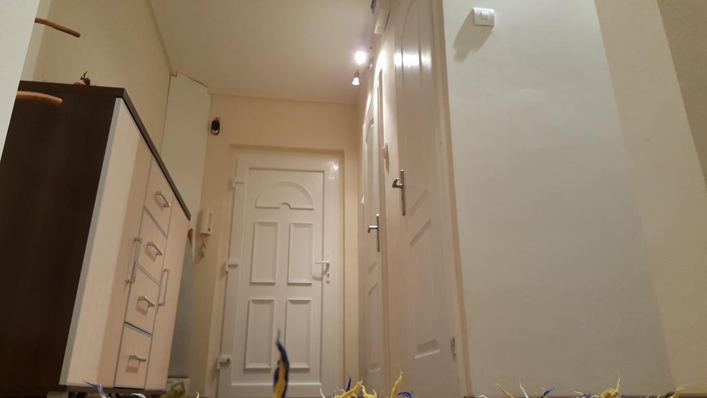 Aquarius Apartman Szeged Eksteriør billede